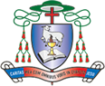 catholicdioceseofawka.org-logo